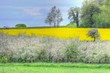 Couleurs de printemps