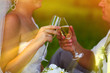 couple sunlight beautiful wedding newlyweds picnic in a forest