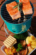 Grilled salmon and grilled vegetables, grilling in the garden