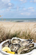 Photo: frische austern am strand frische austern am strand