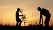 Father and son planting a tree. Sunrise. Silhouette. Spring.