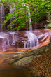 Cascada con hojas verdes