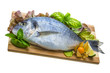 Fresh raw dorada