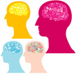 heart  brain vector