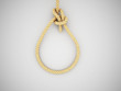 Gallows on dark