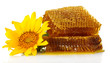 sweet honeycombs with honey and sunflower, isolated on white