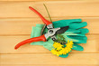 Secateurs with flower on wooden background