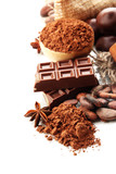 Composition of chocolate sweets, cocoa and spices, isolated