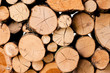 Tree background