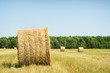 Bales of hay in a large field.