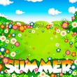 summer word, flowers meadow and sky
