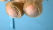 Teddy bear falling on blue background close up