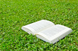 Buch Wiese
