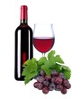 Rotwein