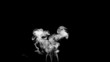 Rising puff of white smoke on black background
