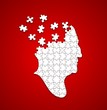 Head Puzzle