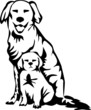 retriever with puppy
