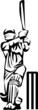 cricket player