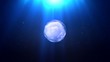 Video: Particle Sphere Particle Sphere