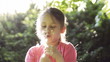 Video: girl blowing on a bouquet of dandelions girl blowing on a bouquet of dandelions