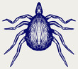 Mite bug. Doodle style