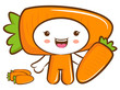 Carrot characters to promote Vegetable selling. Vegetable Charac