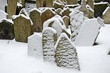 Jüdischer Friedhof  3 - Prag