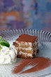 Tiramisu - Classical Dessert with Mascarpone and Coffee