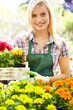 Florists woman working with flowers at a greenhouse.