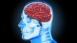 Revolving human head representation with zoom in on headache