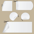Vector: Cutting coupons Cutting coupons