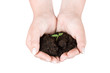 Photo: Human hands holding plant Human hands holding plant