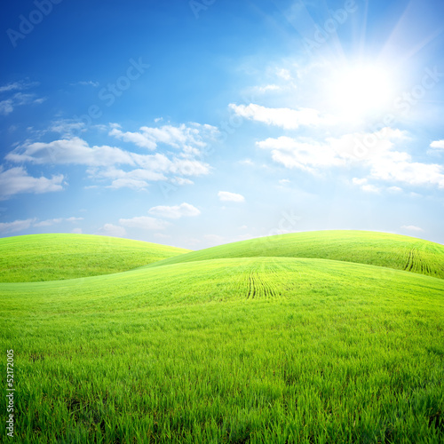 Photo: Field of fresh grass Field of fresh grass