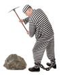 Convict prisoner jailbird pestle rock with pickax