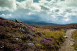 Rocky path near by the mountain slpoes