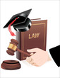 Vecteur : wooden gavel in hand and law book isolated on white wooden gavel in hand and law book isolated on white