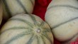 Melonen