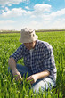 Man in wheat field