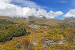Photo: Alpine Vegetation below cloud shrouded peaks Alpine Vegetation below cloud shrouded peaks
