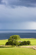 Foto: landscape with sheep near Crackaig, Highlands, Scotland landscape with sheep near Crackaig, Highlands, Scotland