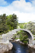 Foto: Old Packhorse bridge, Carrbridge, Highlands, Scotland Old Packhorse bridge, Carrbridge, Highlands, Scotland