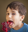 Boy Eating A Lollipop