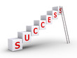 Success cubes and a ladder