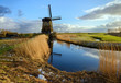 mill near the lake