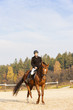 Photo: equestrian on horseback equestrian on horseback