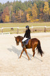 Photo: equestrian on horseback equestrian on horseback
