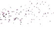 Euro Banknotes Flying, against white