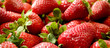 Fragole