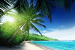 beach in sunset time on Mahe island in Seychelles