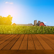 Old Table Surface With Blurred Countryside Landscape
